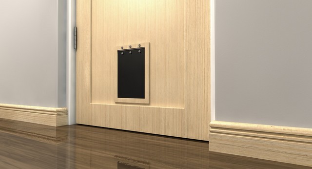 Cat Flap Installation Chessington, Hook, KT9
