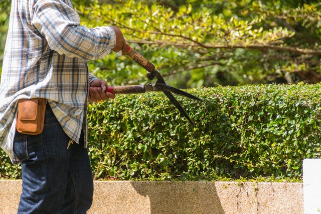 Garden Maintenance Chessington, Hook, KT9